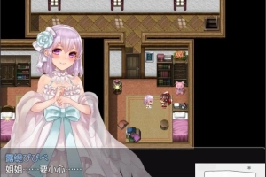 【PC/2D/精品RPG/汉化/全CV】阿尔迪亚塔 Tower of Ardia 精翻汉化版+存档【1.2G】-创优资源分享网