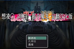 【2D/RPG/汉化】想凌汝那个魔王 云翻汉化版电脑【800M】-创优资源分享网