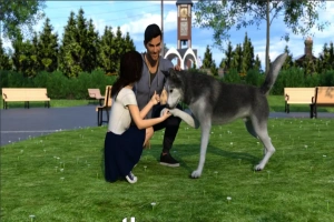 4bf35a93b820250608135241 4bf35a93b820250608135241