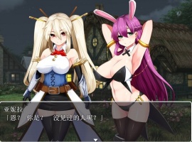 【RPG汉化】银乱的圣骑士HolyKnightBitch【+PC】完整汉化版+全CG【600M】【补档】-创优资源分享网