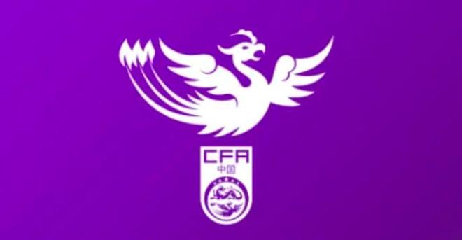 U20女子足球队出征U20女子亚洲杯预选赛的参赛阵容中，刘晨和钟禹新均被列入名单。-同恩资源分享网