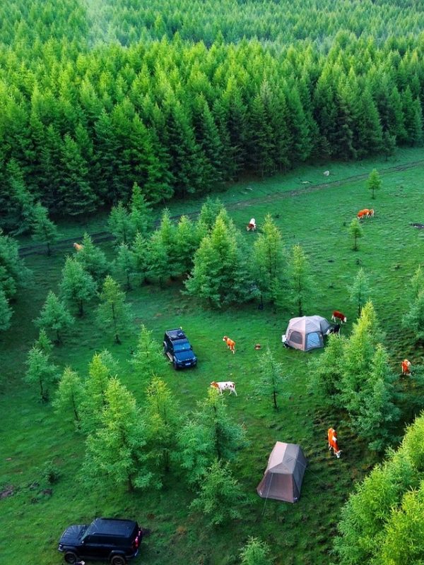 河北隐藏的避暑胜地：夏季平均气温20℃，露营夜需保暖-创优资源分享网