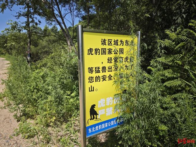 图片[2]-在猛虎出没的险境中相遇，揭秘331国道吉林段末端的最后村落-创优资源分享网