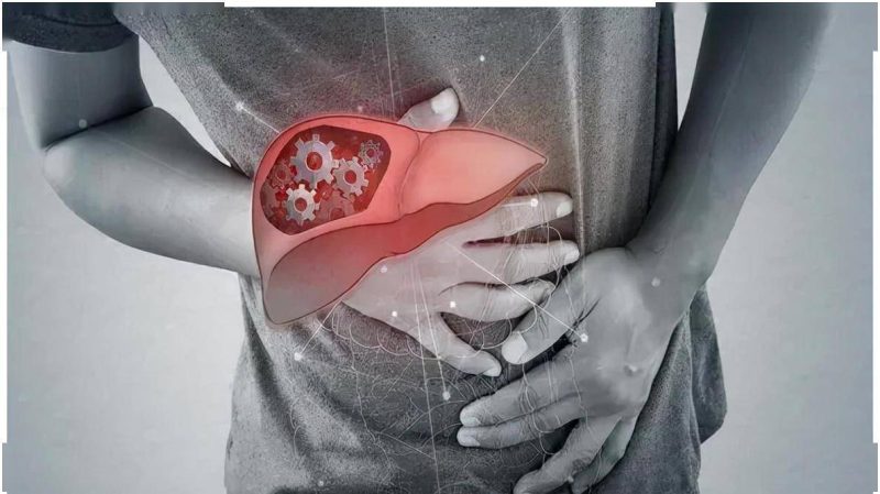 炎炎夏日，医生提醒脂肪肝患者：宁愿参与娱乐活动，也应避免以下三项活动-创优资源分享网