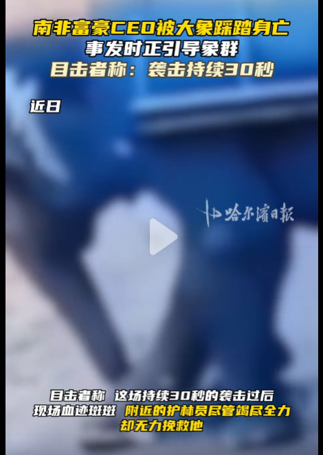 南非富豪CEO被6吨大象踩踏身亡-同恩资源分享网