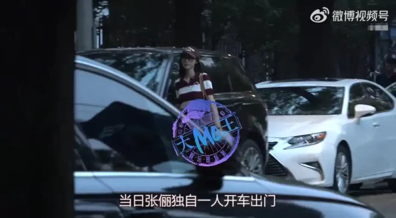 图片[2]-演员张俪因遮挡机动车号牌事件公开发声致歉：她坦诚地表示，自己已深刻认识到此举的错误性质，并承诺将立即采取措施进行整改-创优资源分享网