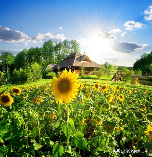 图片[5]-南京少女吴玥不幸离世！曾亮相央视，容貌出众，不幸离世的原因令人悲痛。-创优资源分享网