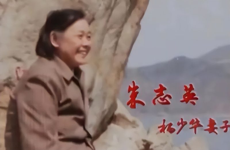 图片[3]-杨少华墓地显露奢华，与爱妻同眠，早在22年前便斥资13万购得这片墓地。-创优资源分享网