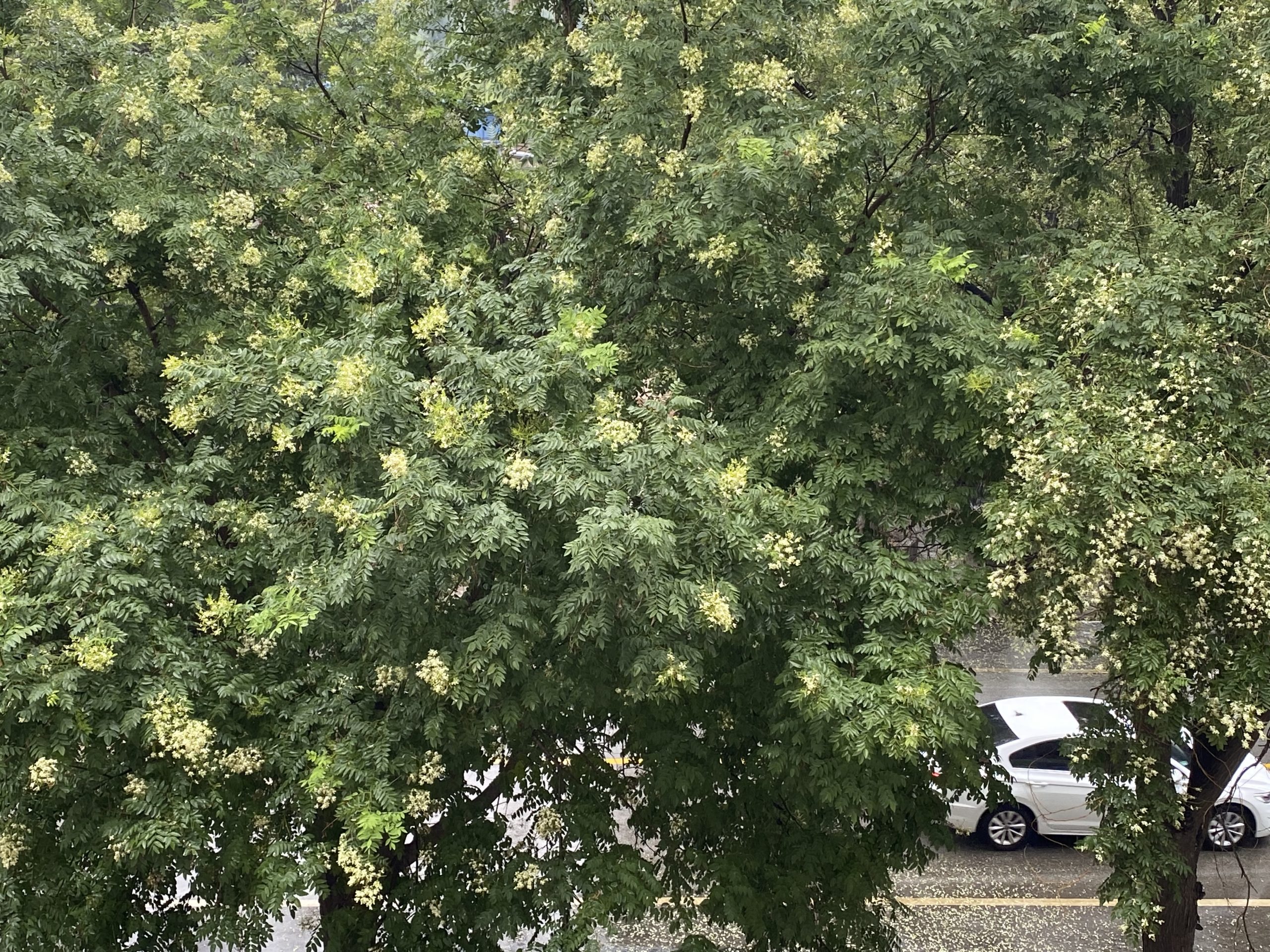 我必须坦诚，我已经完全迷上了北京！尽管身处保定，我心中却始终挂念着远在北京的儿子。-萨沙资源分享网