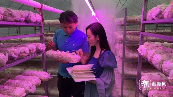 图片[8]-二楼平台上，一场阵雨不期而至，竟在泡沫箱内发现了一种罕见的古代生物——“仙女虾”。据专家解读，这些虾的卵可能是随同鸟粪一同抵达的。-创优资源分享网