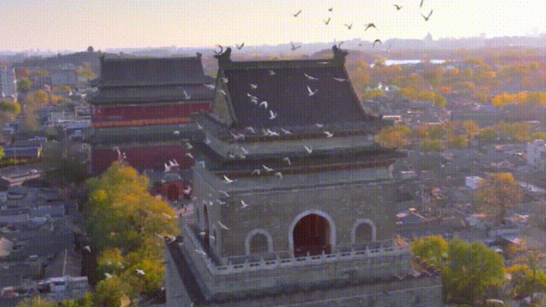 图片[7]-一周年庆贺！探寻中国最璀璨的city walk之旅-创优资源分享网