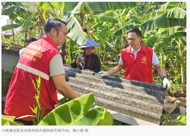 在广东各地，针对蚊虫防控，各级党政领导干部深入一线，与民众共同参与，展开了一场防蚊灭蚊的战斗。他们不仅清理积水、喷洒消毒药剂，还与市民携手并肩，共同捍卫健康生活环境。-同恩资源分享网