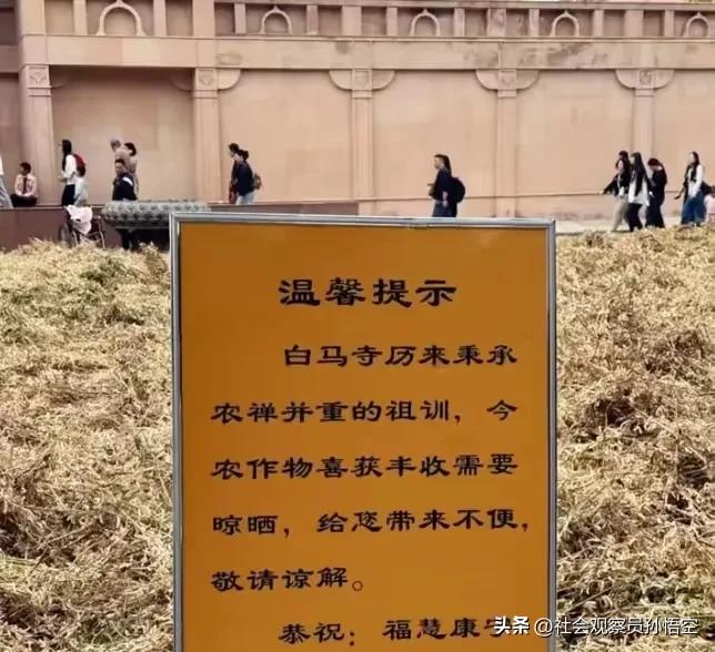 图片[2]-少林寺新任掌门人释乐印，上任伊始便果断“挥刀”砍掉了价值1988元的“财神香”。-创优资源分享网
