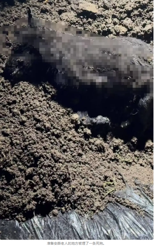 图片[4]-村民筹备为逝者举行葬礼，却发现通往墓地的主要道路上布满了上百颗钉子。-创优资源分享网