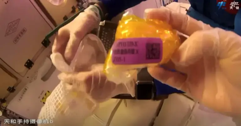 图片[4]-“太空快递”已送达，新实验即将启动！-创优资源分享网