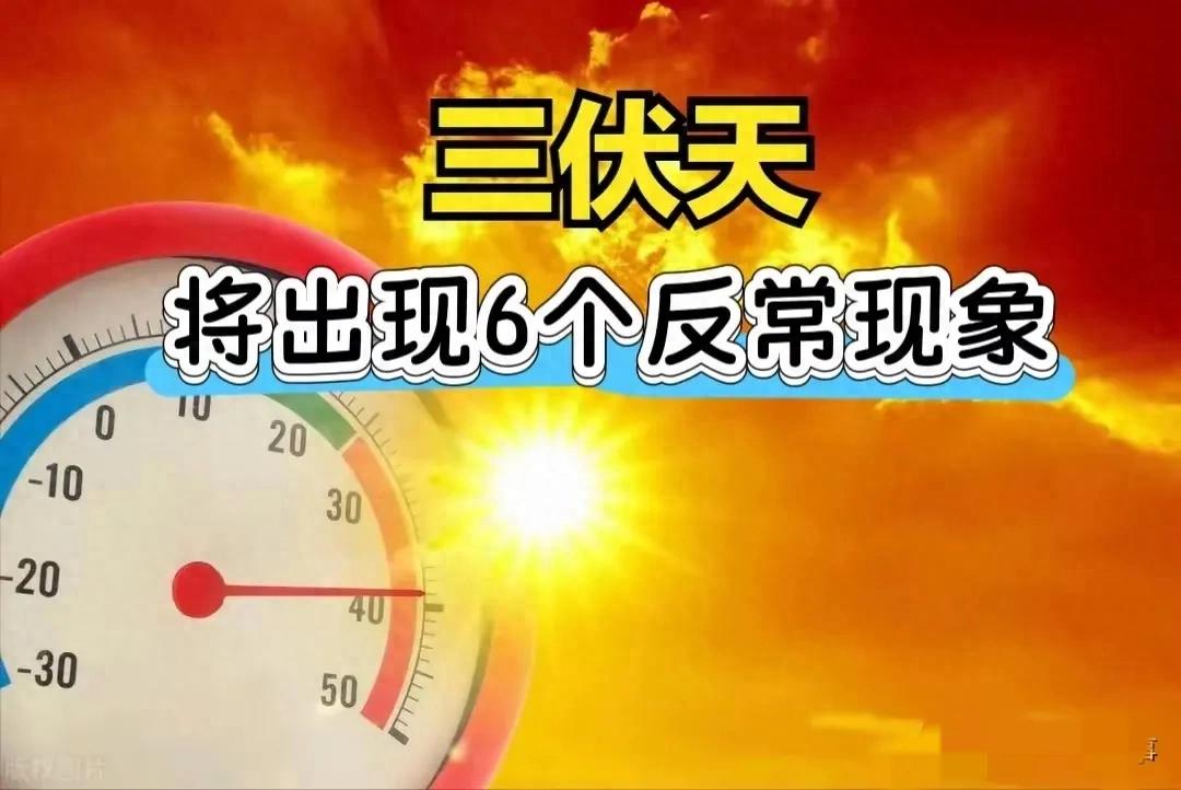 7月20日迎来伏天，预计今年三伏期间将出现六个异常现象，与往常有别-蓬勃资源分享网