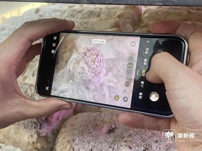 图片[6]-二楼平台上，一场阵雨不期而至，竟在泡沫箱内发现了一种罕见的古代生物——“仙女虾”。据专家解读，这些虾的卵可能是随同鸟粪一同抵达的。-创优资源分享网