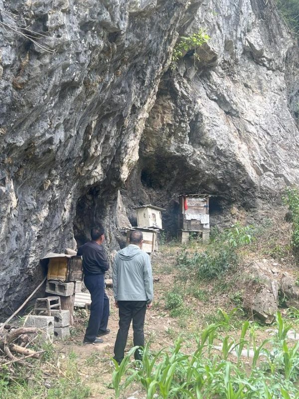 图片[6]-张海超在经历了16年的开胸验肺手术后，提及往事时不禁泪流满面，然而，积极面对生活并好好活着，依旧是他不可推卸的责任。-创优资源分享网