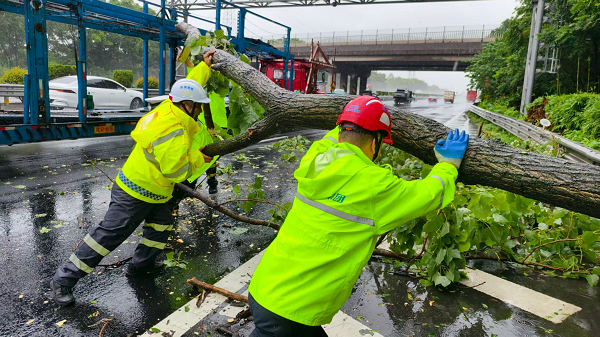 图片[2]-嘉兴高速工作人员在台风“竹节草”来袭时，坚守岗位，奋力构筑风雨中的“安全防线”。-创优资源分享网