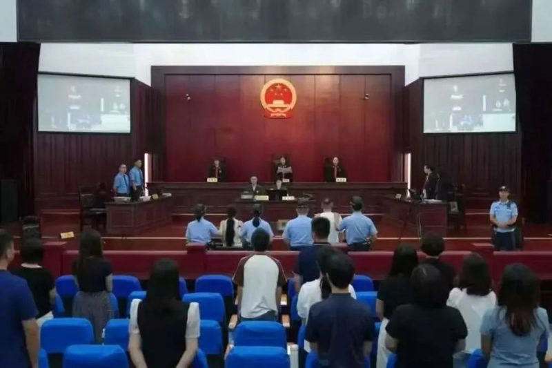 图片[2]-揭秘：冒充熊猫爱好者散布虚假信息谋利——探究“大熊猫虐待”谣言背后的利益网络-创优资源分享网