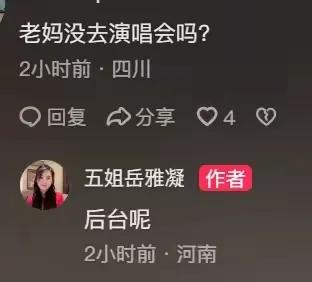 图片[7]-岳云鹏演唱会盛大举行，五姐妹与弟弟齐亮相，全家人身着应援服饰，共享同款面容。-创优资源分享网