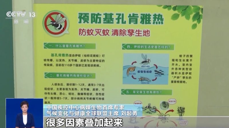 图片[2]-确诊病例突破4000例  基孔肯雅热究竟有何背景？-创优资源分享网