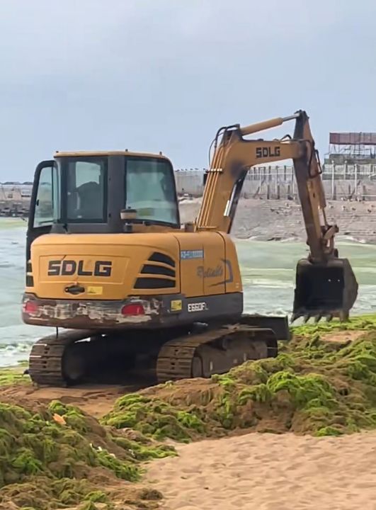 图片[3]-**山东日照沿海遭遇浒苔爆发，游客反馈异味困扰，当地政府积极行动开展清理工作，同时专家对事件的影响及应对策略进行深入分析。**-创优资源分享网