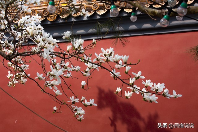 图片[12]-夏夜余晖映照下的北京长城，高温之痛难以掩饰。-创优资源分享网