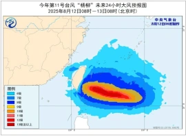 台风“杨柳”预计将于次日登陆沿海地带  预计其带来的强降雨可能引发一系列灾害-同恩资源分享网