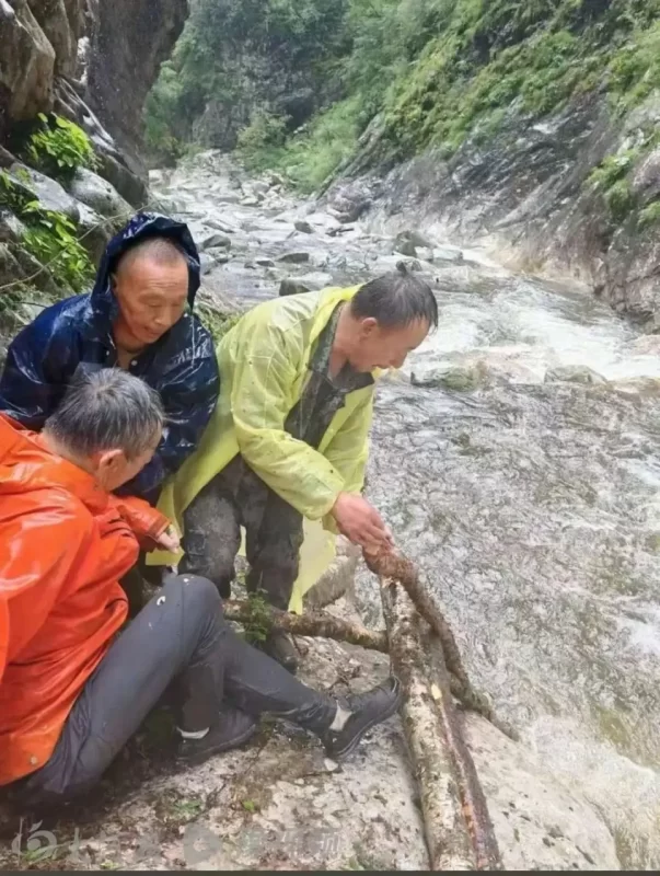 图片[2]-秦岭保护区失踪驴友终被寻回，圆脸变瘦数十斤！-创优资源分享网