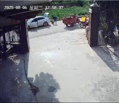 图片[2]-三十余载饲养的鳄龟遭路人司机带走，主人紧急呼吁：“请勿伤害它”，警方已介入调查。-创优资源分享网