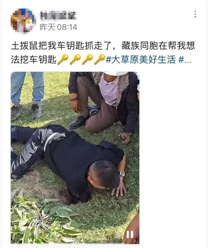 土拨鼠“盗”走游客车钥匙，竟还“得意洋洋”地送回洞中？当地官方回应：这不是传说，确有其事！-同恩资源分享网