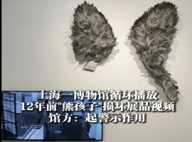 两个未成年人损坏公共展品的事件，并指出相关的监控视频自事件发生以来已经连续播放了12年。-同恩资源分享网