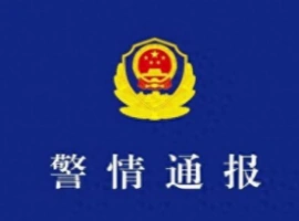 官方公告指出：余某翔与阮某平因涉嫌假冒军人身份实施诈骗行为而受到指控。-创优资源分享网