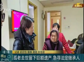 上海失独老人遗产继承人揭晓：500万遗产分配方案如下！-创优资源分享网