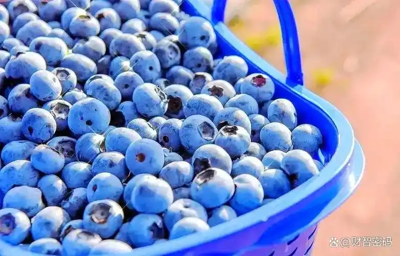 图片[3]-昔日遥不可及的进口水果，价格从300元跌至2元！现在还有谁愿意购买呢？-创优资源分享网