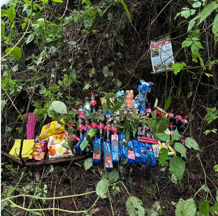 图片[2]-自闭症儿童不幸遇难  去世时衣服脱光疑似体温过低-创优资源分享网