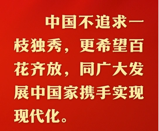 图片[4]-中国现代化之路选择了一条和平发展的路径。-创优资源分享网