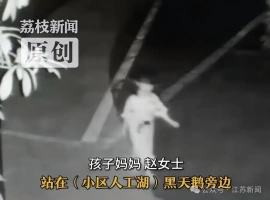 凌晨时分，一名5岁的小女孩在梦中迷失，当她被发现时，正孤独地站在湖畔。-创优资源分享网