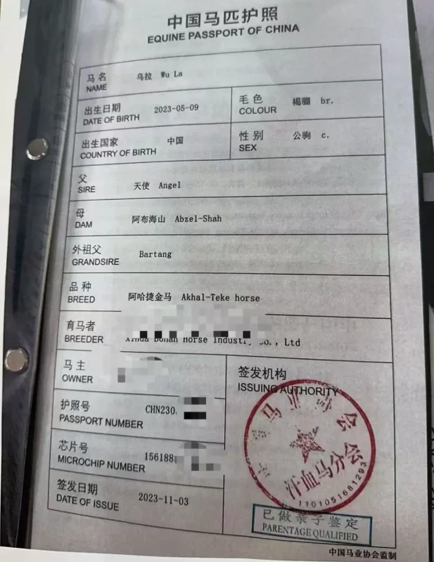 图片[3]-一辆价值9万元的汗血宝马在高速公路上不幸发生事故死亡-创优资源分享网