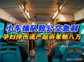 孕妇因公交急刹流产，法院判决结果公布-创优资源分享网