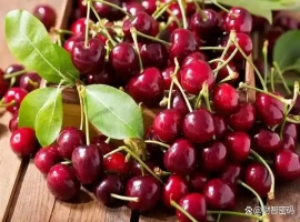 昔日遥不可及的进口水果，价格从300元跌至2元！现在还有谁愿意购买呢？-创优资源分享网