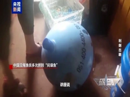 渔民频繁捕获“神秘鱼种”  专家建议：一旦发现异常装置，应迅速上报-创优资源分享网