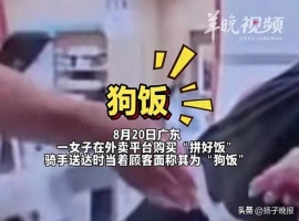 一位女士在“拼好饭”平台点餐时，遭遇骑手在面前直呼其餐为“狗饭”，并嘲讽说“有病就别吃”。-创优资源分享网