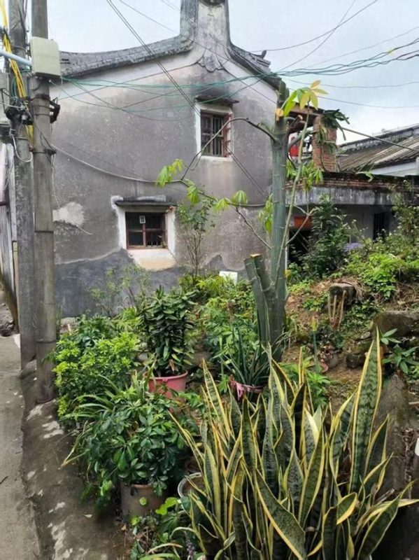 重病夫妻一家6口住60㎡村宅，申请新宅基地被拒，称确权出错，生活空间紧张。-同恩资源分享网