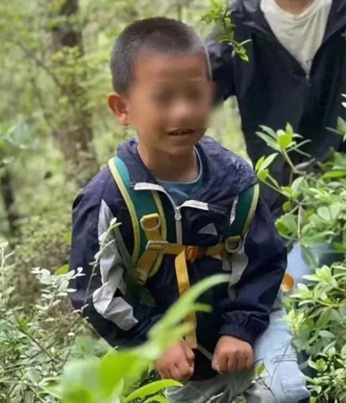 图片[2]-自闭症儿童参加的夏令营中，一名男孩不幸失踪，目前团内共有7名自闭症儿童。-创优资源分享网