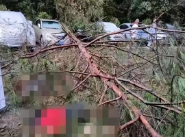 重庆的三位女性游客不幸遭遇意外，其中一位女性不幸离世。受害者家属从相关方面获得了9万元的赔偿。-创优资源分享网