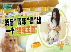 经过4个月的精心制作，一位年轻人成功打造了一座“猫咪地铁站”，这一创意作品引起了都市白领们的强烈情感共鸣。-创优资源分享网