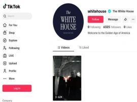 美国白宫正式开通官方TikTok账户：旨在传播特朗普政府的政策信息-创优资源分享网