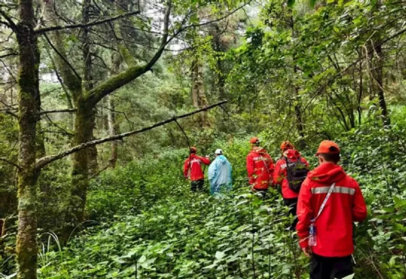 图片[3]-自闭症儿童参加的夏令营中，一名男孩不幸失踪，目前团内共有7名自闭症儿童。-创优资源分享网